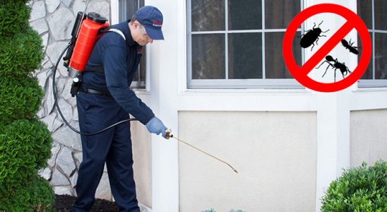 Eğirdir Bit İlaçlama böcek ilaçlama ve haşere kontrolü — ilaclama-tr.com